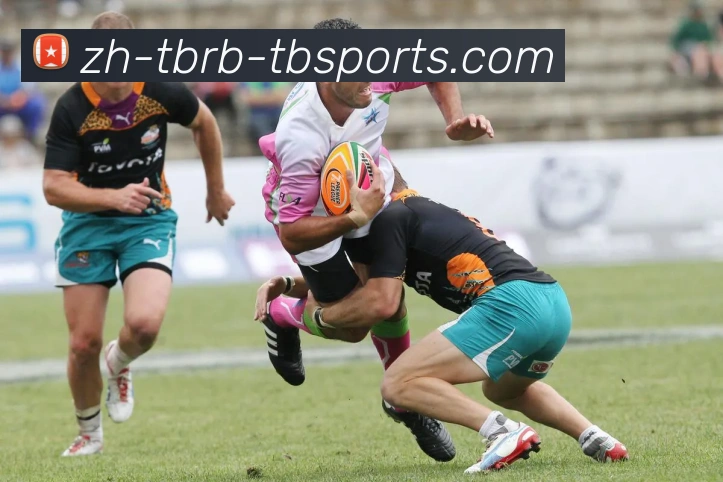 天博体育平台生态图